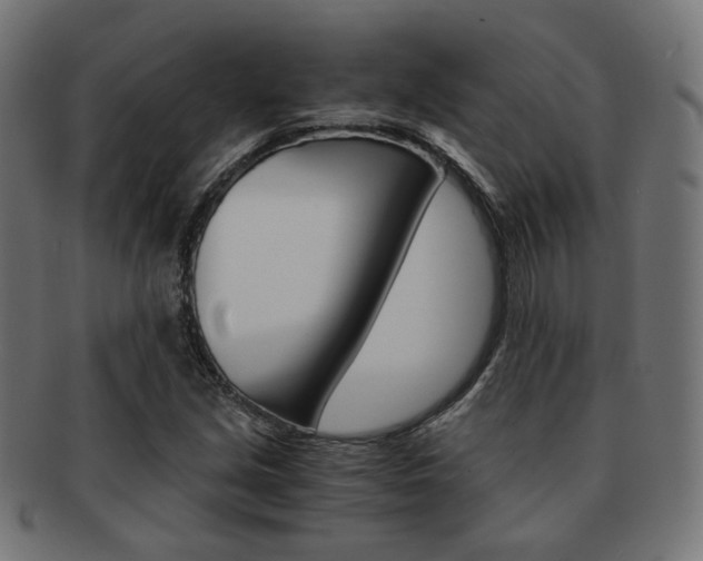 X0000092021213200709061323