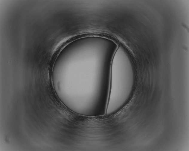X0000092021214200709061323
