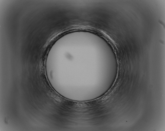 X0000092021215200709061323