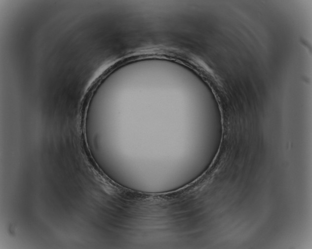 X0000092021216200709061323