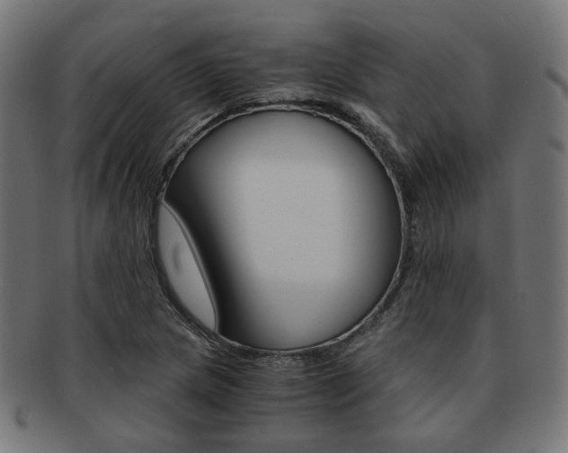 X0000092021217200709061323