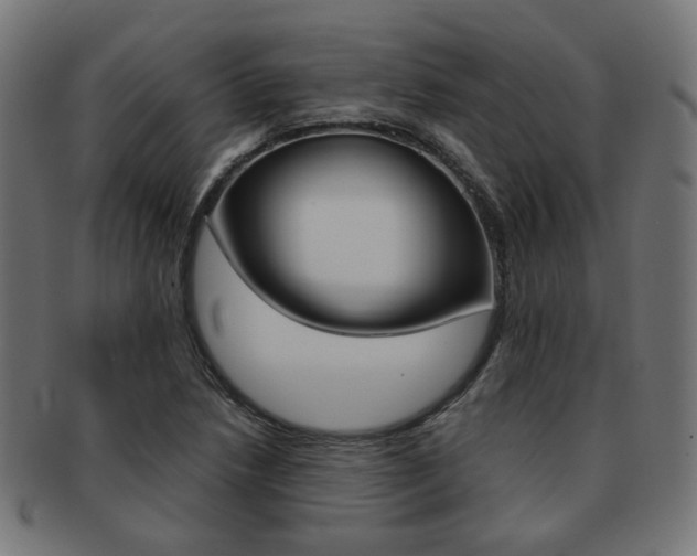X0000092021218200709061323