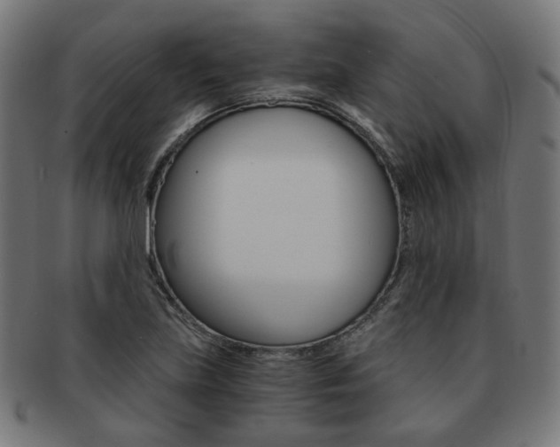 X0000092021219200709061323
