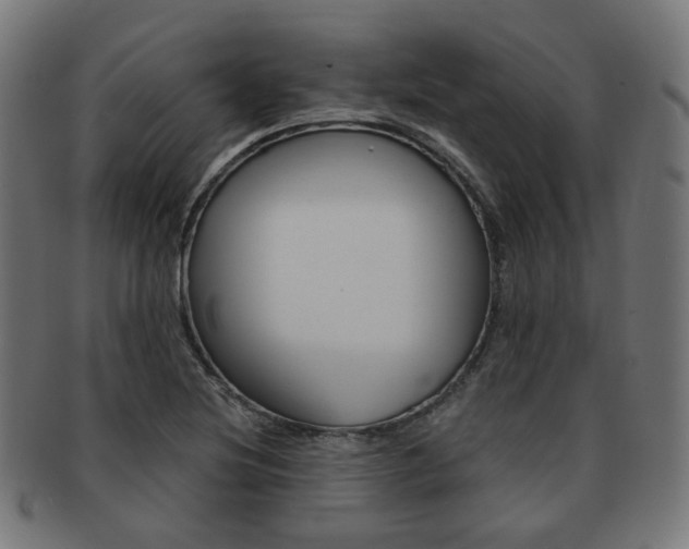 X0000092021220200709061323