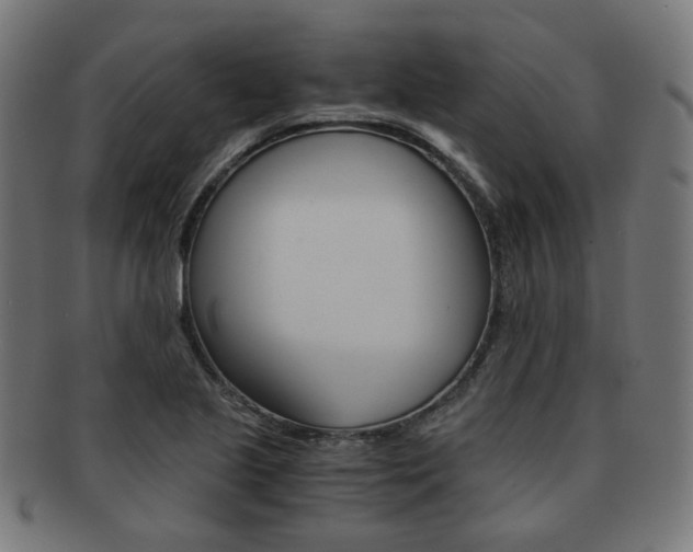 X0000092021221200709061323