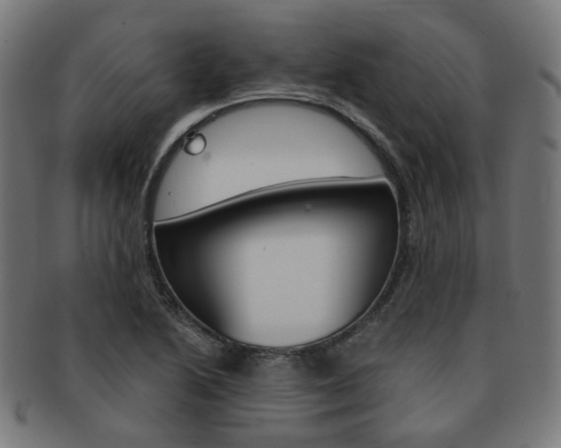 X0000092021222200709061323