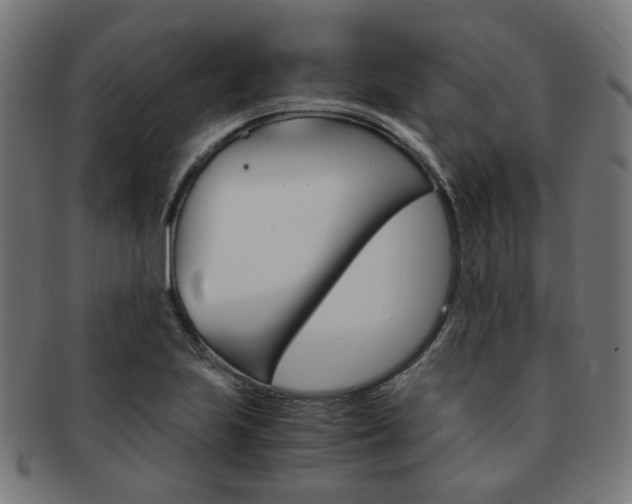 X0000092021223200709061323
