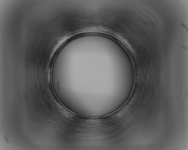 X0000092021224200709061323