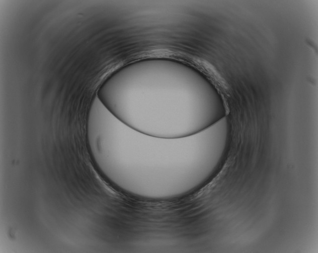X0000092021225200709061323