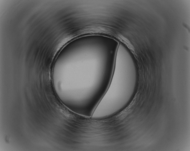 X0000092021226200709061323