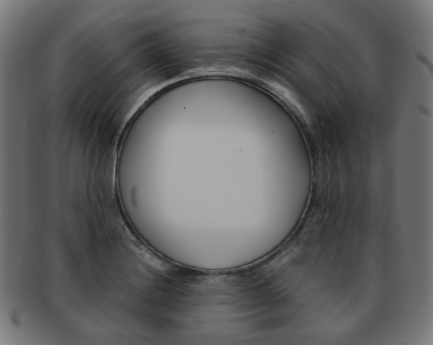 X0000092021228200709061323
