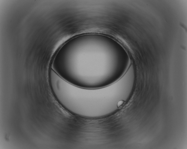 X0000092021230200709061323
