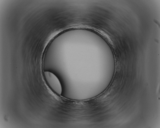 X0000092021231200709061323