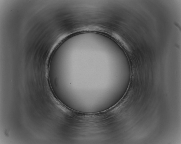 X0000092021232200709061323