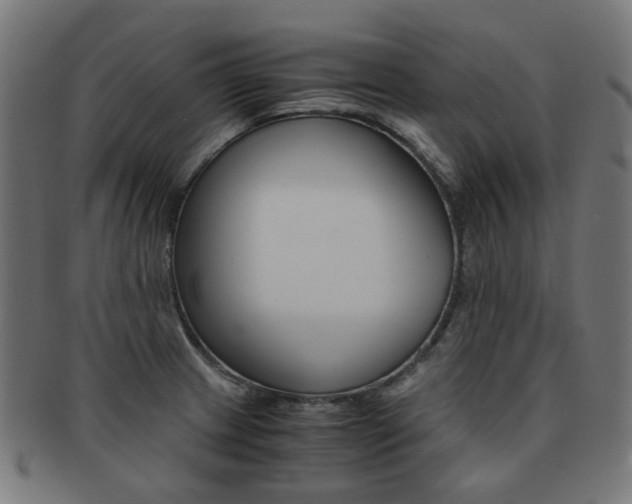 X0000092021233200709061323