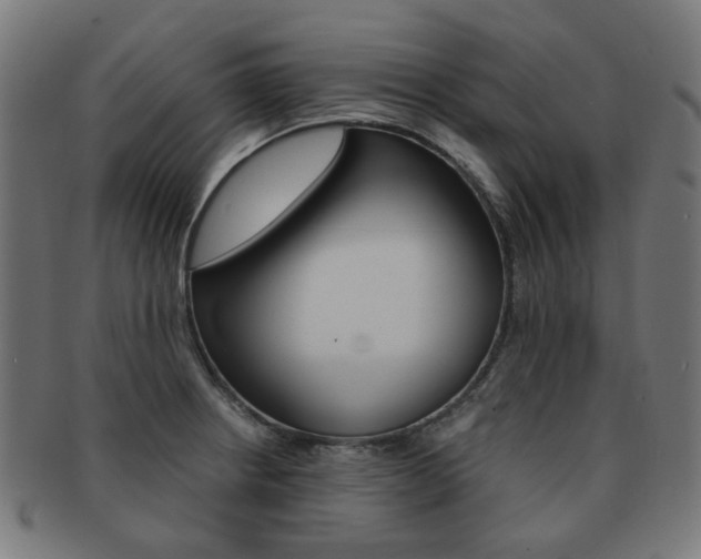 X0000092021234200709061323