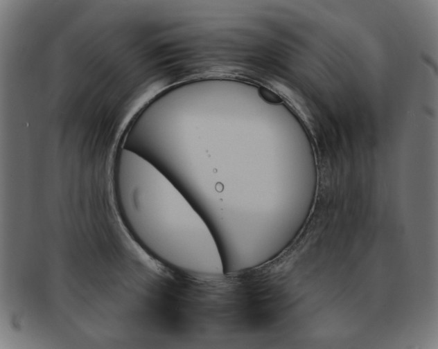 X0000092021235200709061323