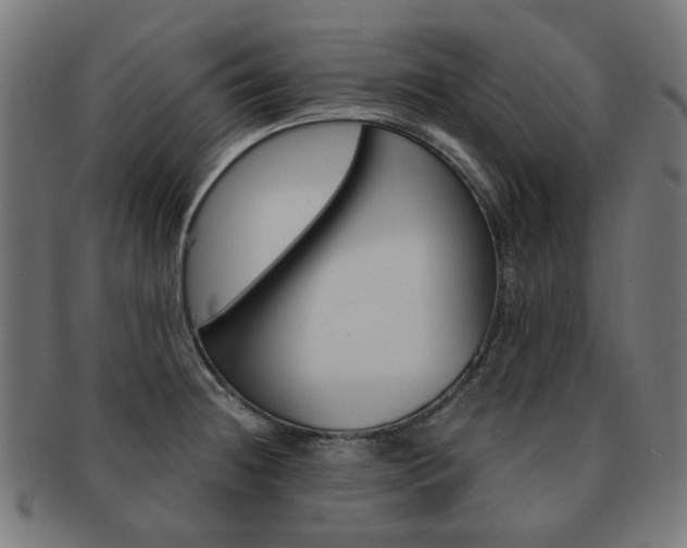 X0000092021236200709061323