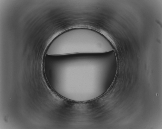 X0000092021237200709061323