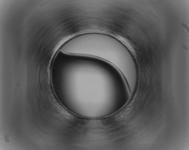 X0000092021238200709061323