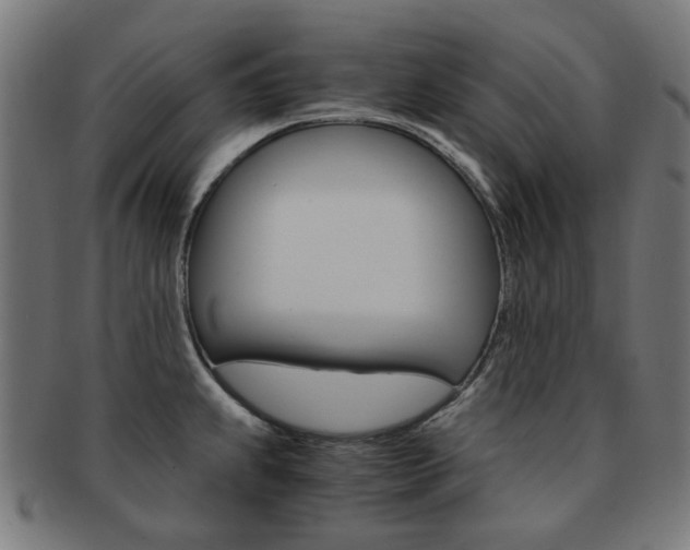 X0000092021239200709061323