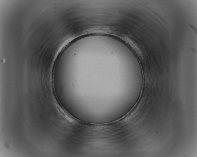 X0000092021240200709061323