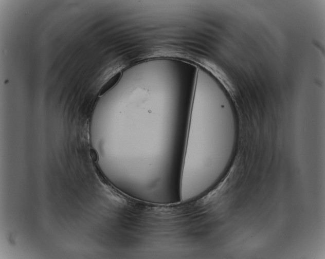 X0000092021241200709061323