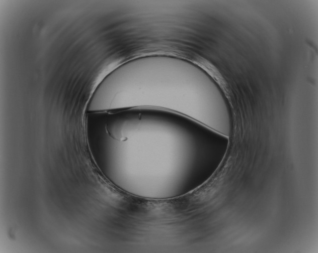 X0000092021242200709061323