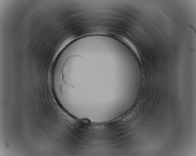 X0000092021243200709061323