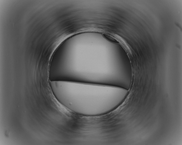 X0000092021244200709061323