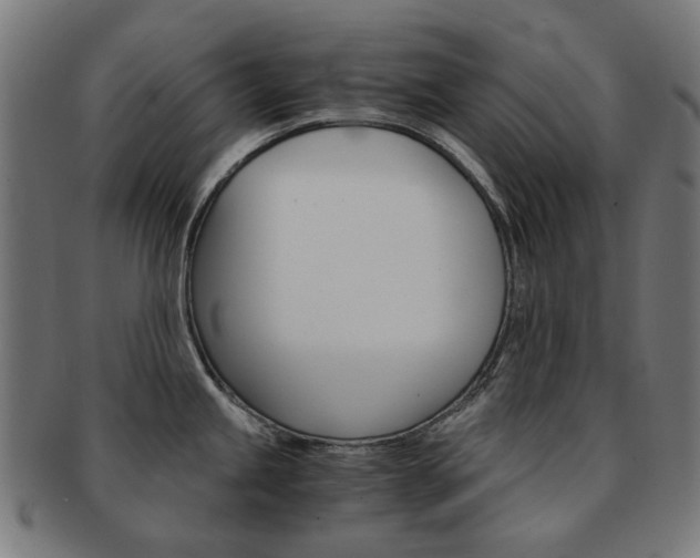 X0000092021245200709061323