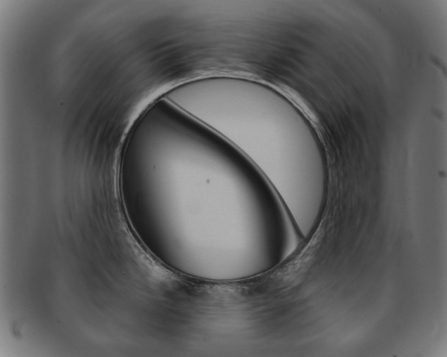 X0000092021246200709061323