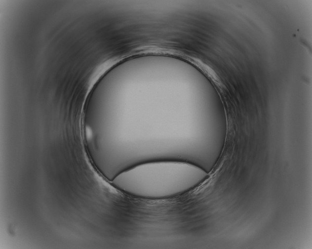 X0000092021247200709061323