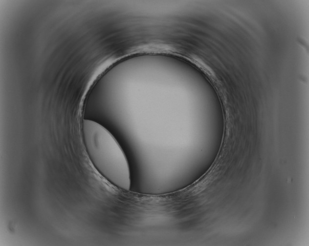 X0000092021248200709061323