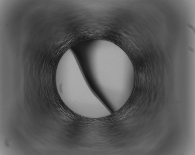 X0000092021250200709061323