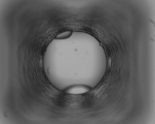 X0000092021251200709061323