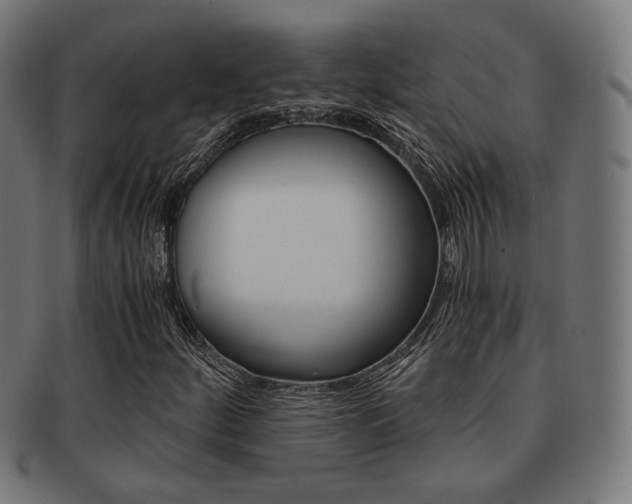 X0000092021252200709061323
