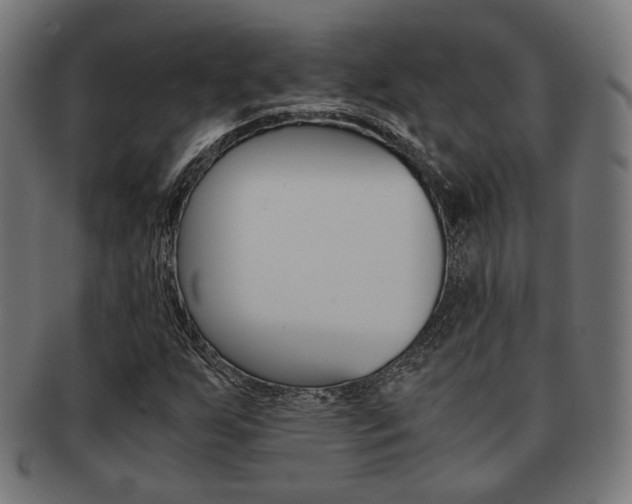 X0000092021255200709061323