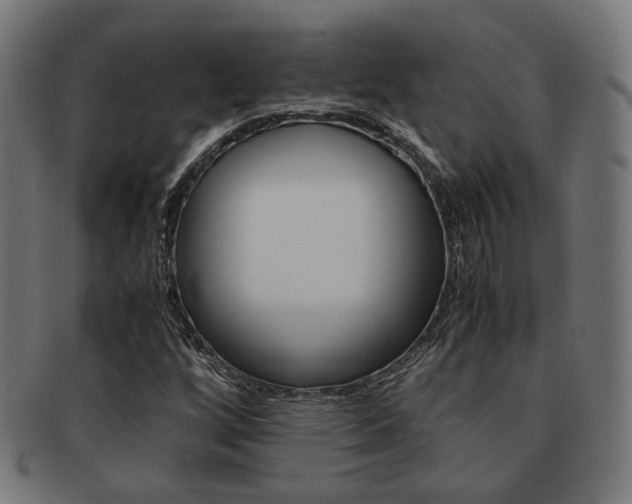 X0000092021256200709061323