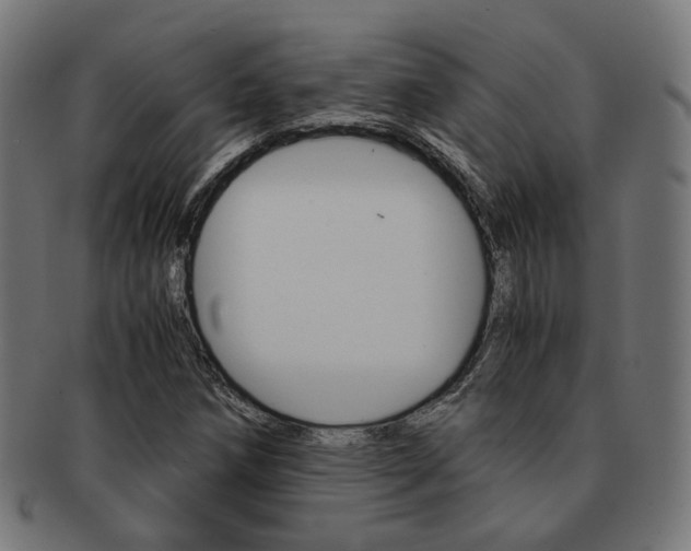 X0000092021258200709061323