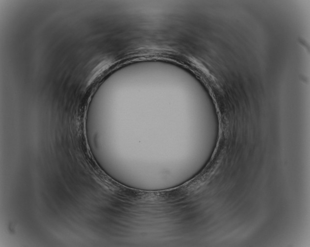 X0000092021259200709061323