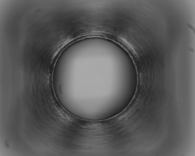 X0000092021260200709061323