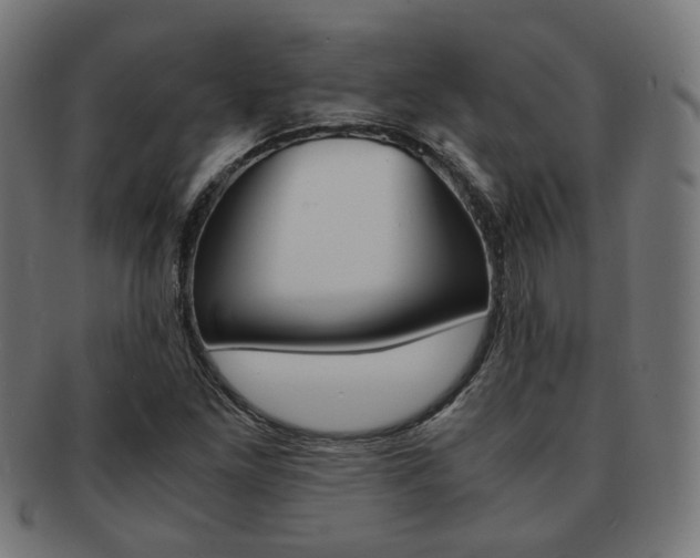 X0000092021261200709061323