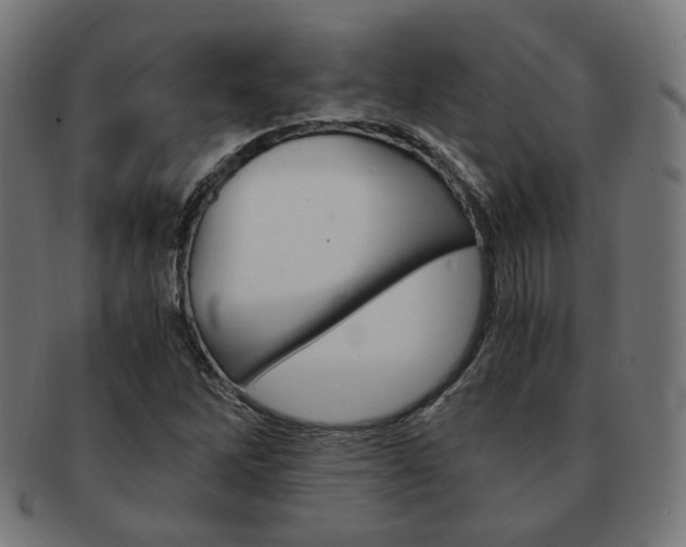 X0000092021262200709061323