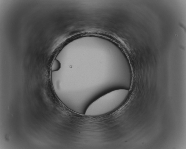 X0000092021263200709061323
