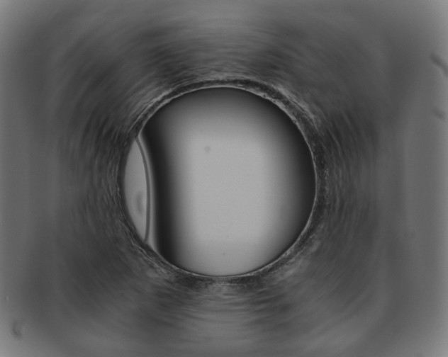 X0000092021265200709061323