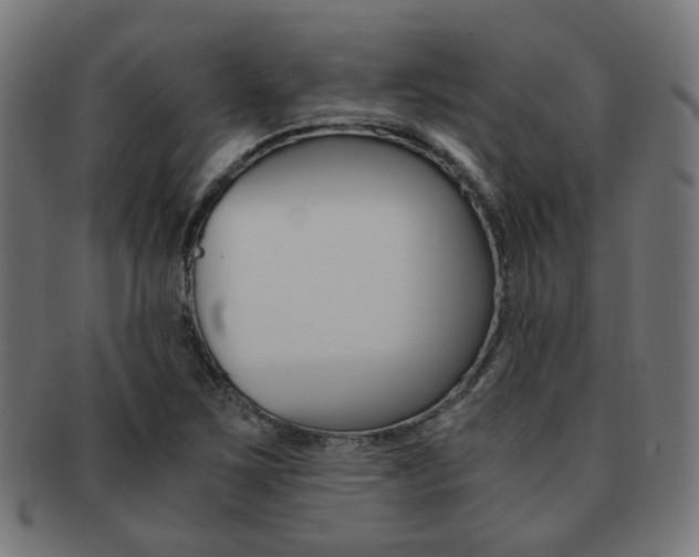 X0000092021267200709061323