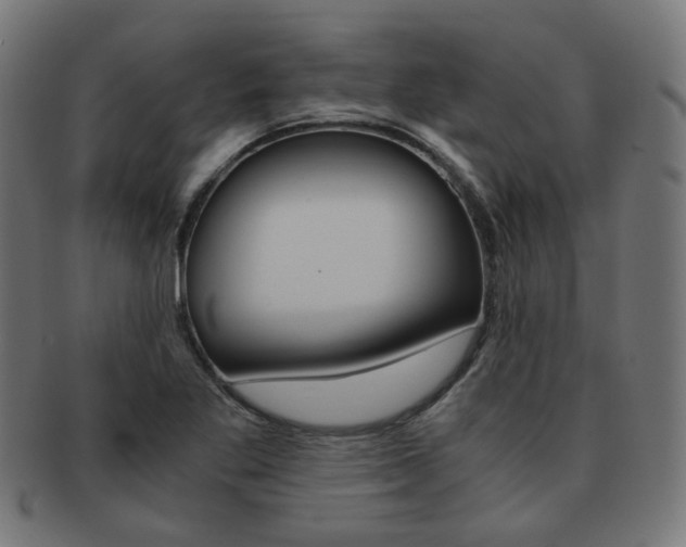 X0000092021269200709061323