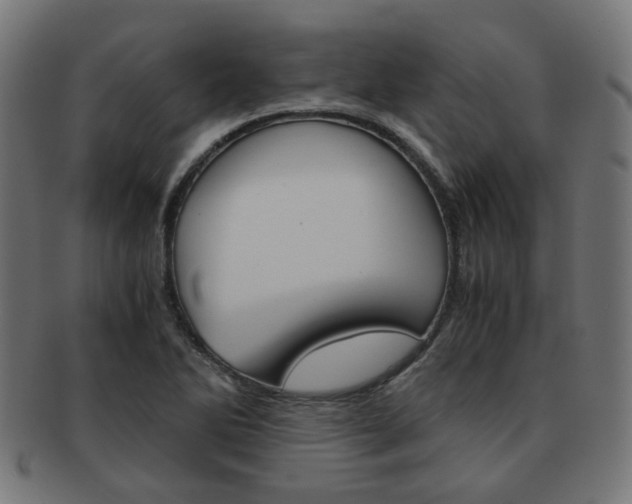 X0000092021270200709061322