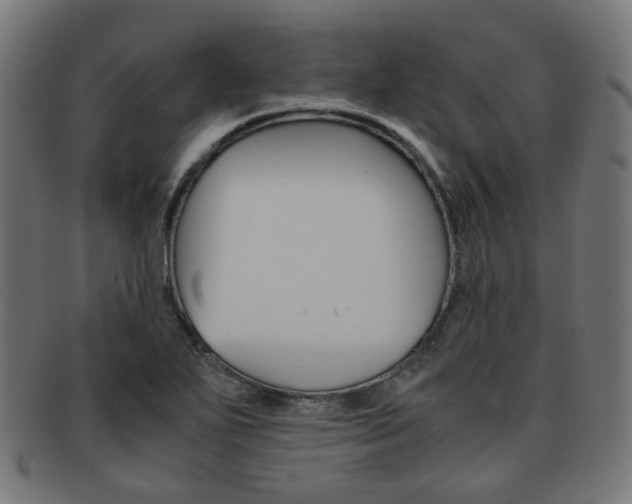 X0000092021271200709061322